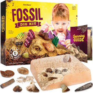 Fossil Dig Kit - Two Sisters and a Pocketbook 
