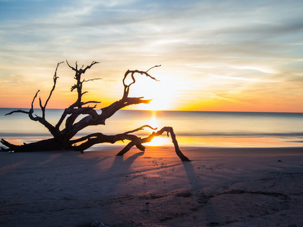 Jekyll Island, Georgia