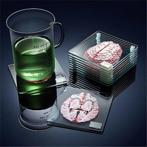 Brain Anatomy Coaster Collection - Enlite