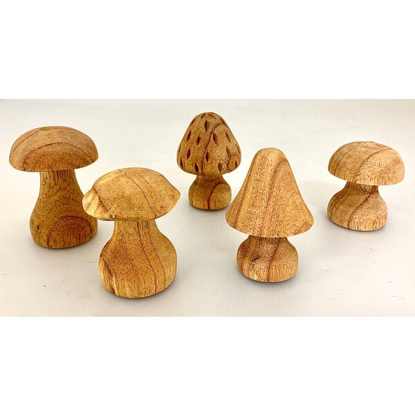 Papoose Toys Papoose Toys Mushrooms Hand Carved/5pc