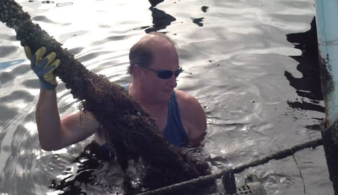 Michael out in the water, working the Oyster Mom farm.