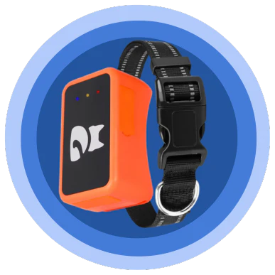 Copy_of_PRODUCT_FEATURES_HERO_IMAGE_3_1e384e62-4c6f-4f76-85ac-4c2df2dd8409.webp__PID:5418fc07-73aa-4dbb-b170-1f75bdad4a44