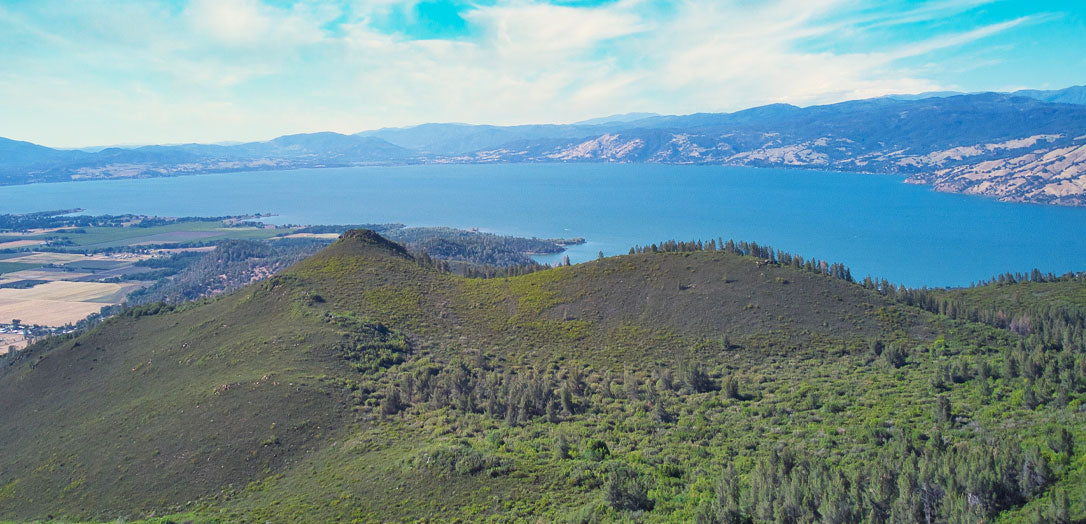 Aerial view of Clear Lake in Lake County, California, where exceptional wines are produced.