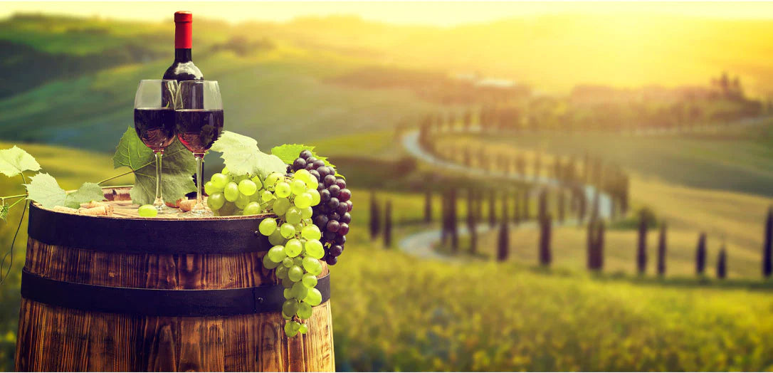 Image of wine glasses, wine bottle and fresh grapes on wine barrel near vineyard in Sonoma County, California.