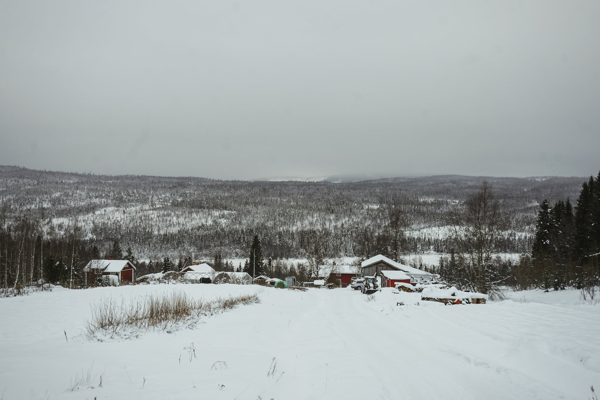 the views from the farm