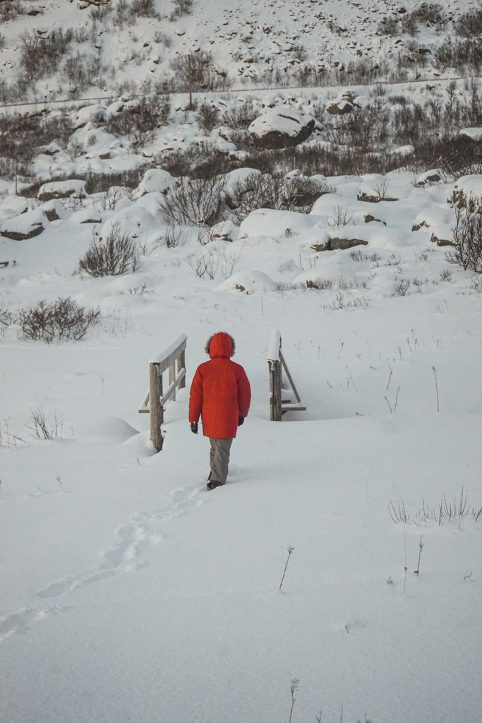 robin crossing the bridge