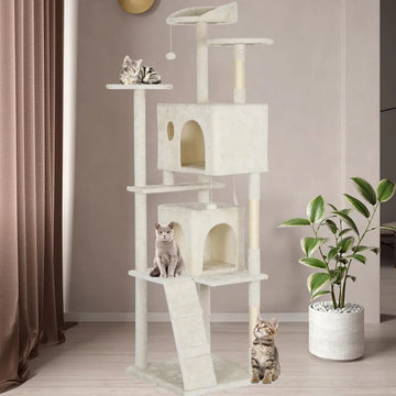 Trees dropshipping Products