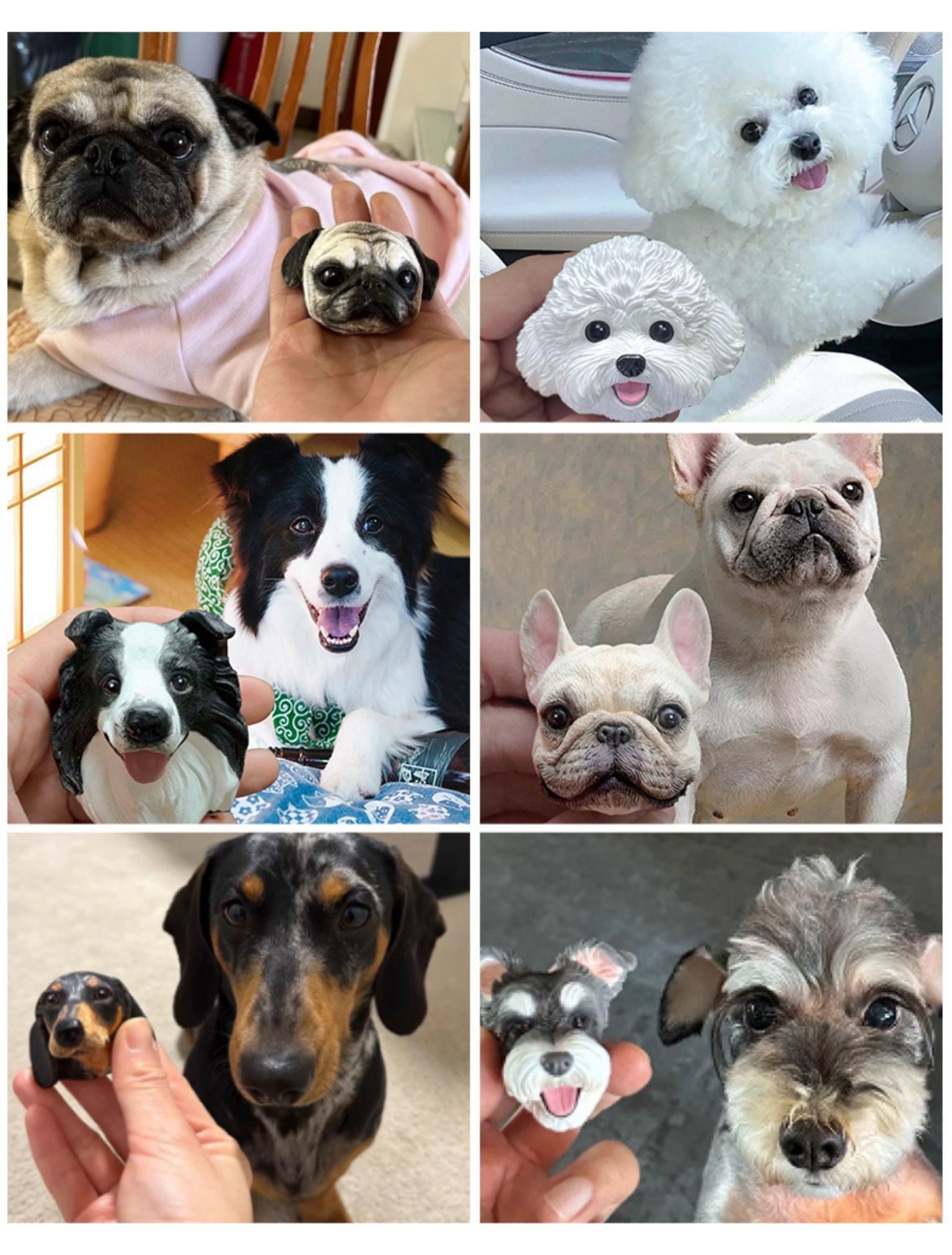 狗.jpg__PID:54f33d4b-469c-435c-91d5-d44063360dc0