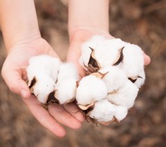 Cotton balls in hands