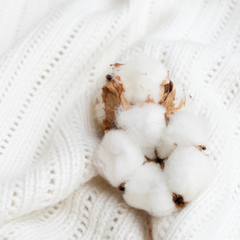 Cotton with white scarf