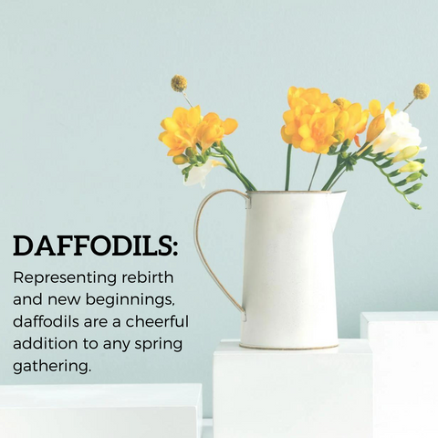 Daffodils and it's flower language