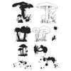 Sizzix A5 Clear Stamps Set 10PK w/2PK Framelits Die Set Painted Pencil Mushrooms by 49 and Market