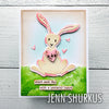 Sizzix Thinlits Die Set 15PK - Bunny Stitch by Tim Holtz