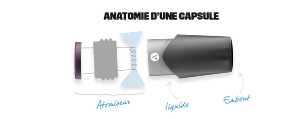 IL Y A QUOI DANS LA CAPSULE ?