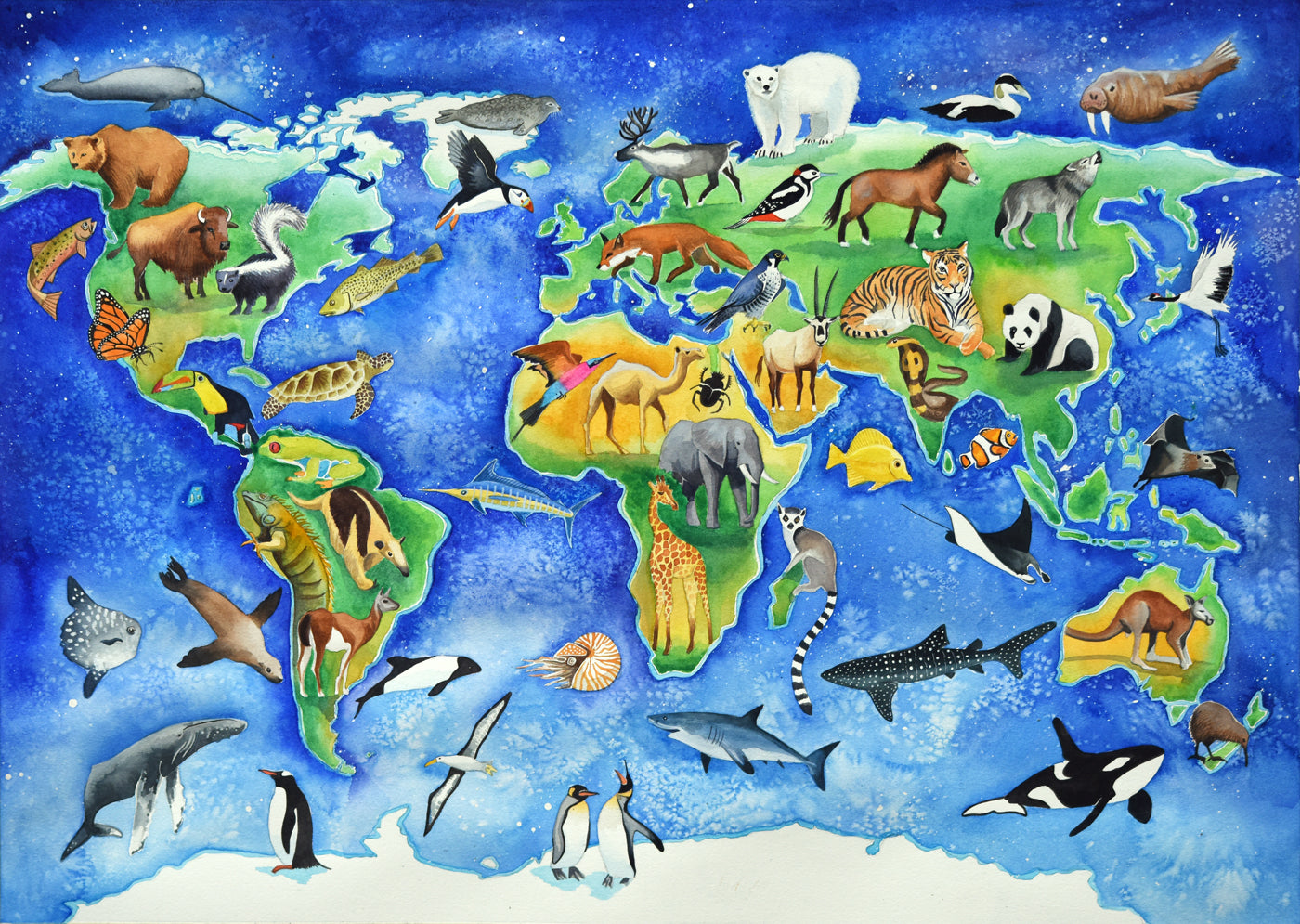 Органический мир нашей планеты подразделяется на. Животный мир планеты. Животные разных континентов. Животные планеты земля. Животные по континентам для детей.