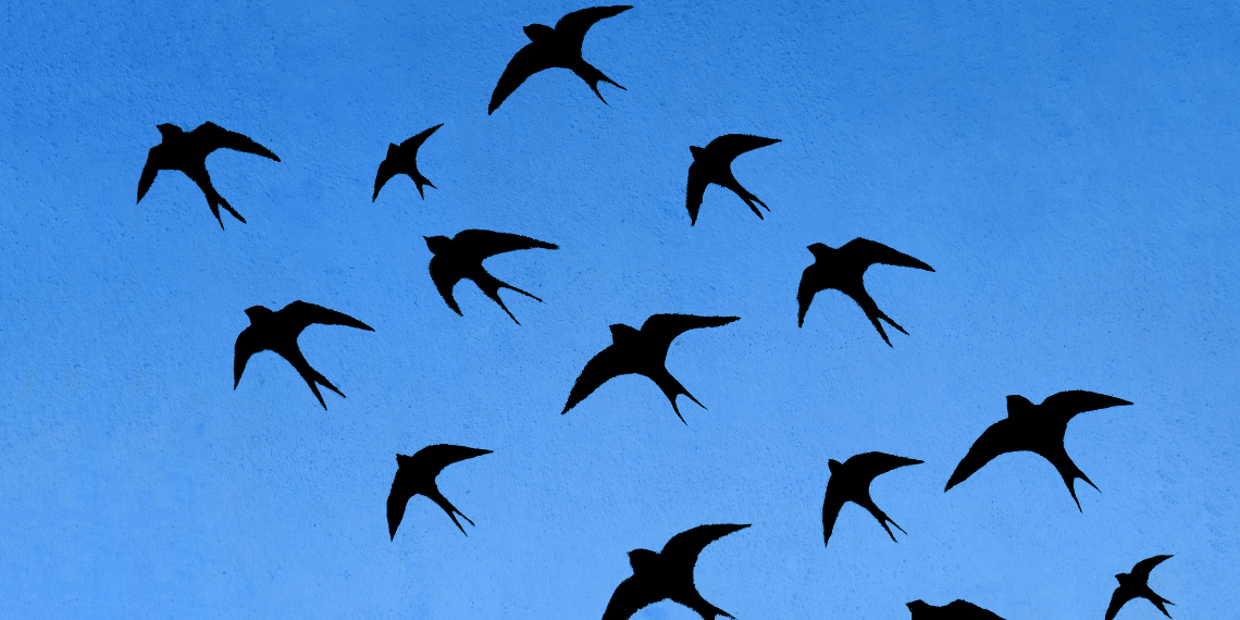 Illustrated image featuring black swallows soaring across a dark blue sky. The contrast of the black silhouettes against the deep blue background emphasizes the graceful forms and movements of the birds. The illustration captures a serene and somewhat mystical night-time scene.