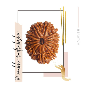 Best Original Rudraksha in Beautum