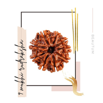 Best Original Rudraksha in Beautum