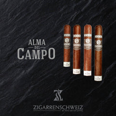 Zigarren Auswahl der Plasencia Alma del Campo Linie