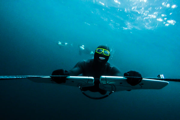 Andreas Heide swimming with Orcas - Barba