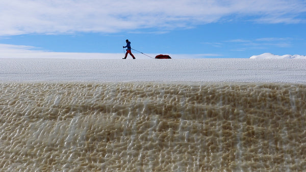 Ecologist, Research Scientist and Ocean Advocate James Grecian hauling a pulk of snow petrel samples in Antarctica 