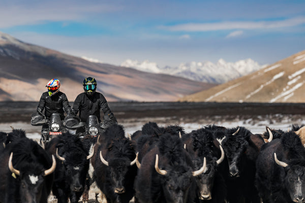 Louis Rudd riding with Royal Enfield in the Himalayas