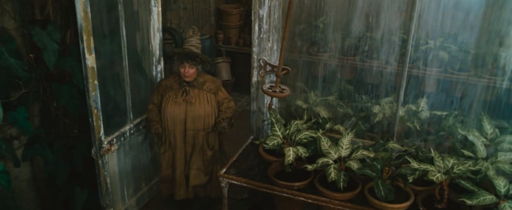 Harry Potter and the Mandrake