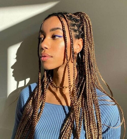 Brown Small Knotless box braids high ponytail with face-framing braids
