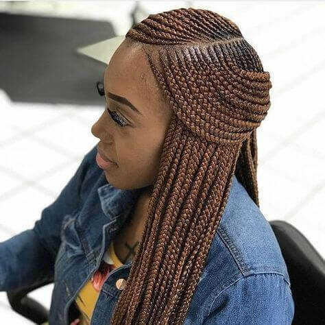 Half-Up Half-Down Lemonade Braids