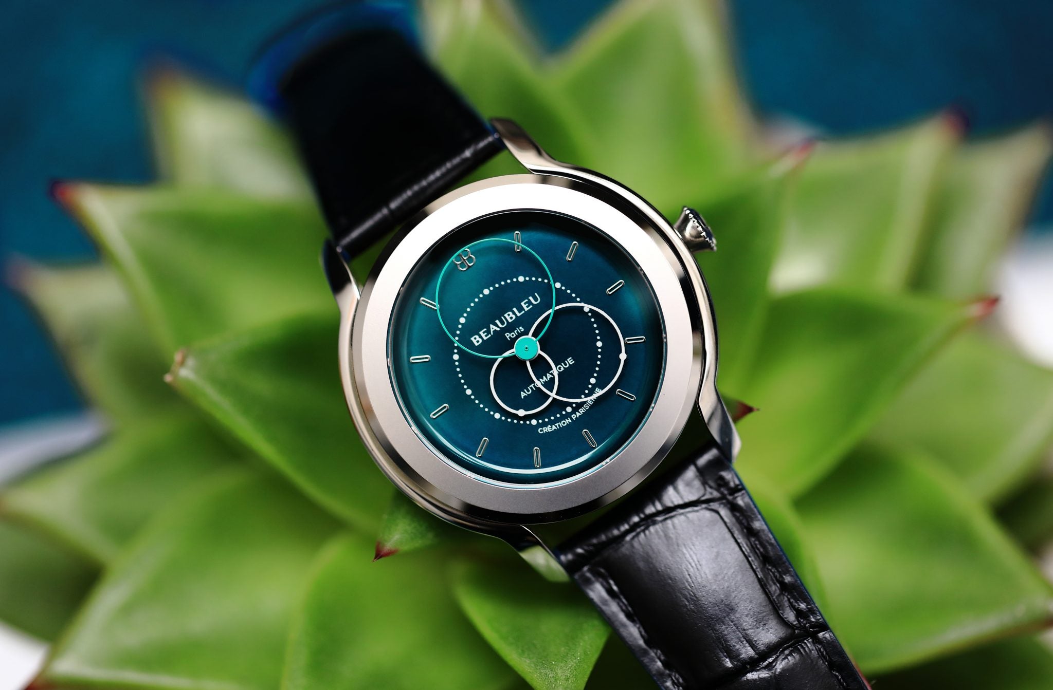 montre verte sur plante