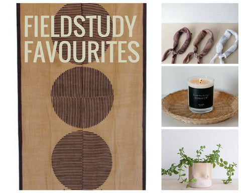 Fieldstudy Favourites from the Picot Collective Blog