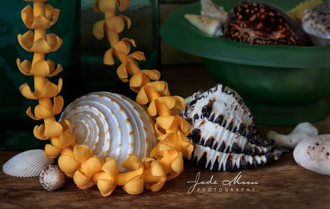 Puakenikeni Lei and Seashells