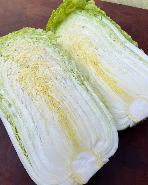 Aiko Napa Cabbage