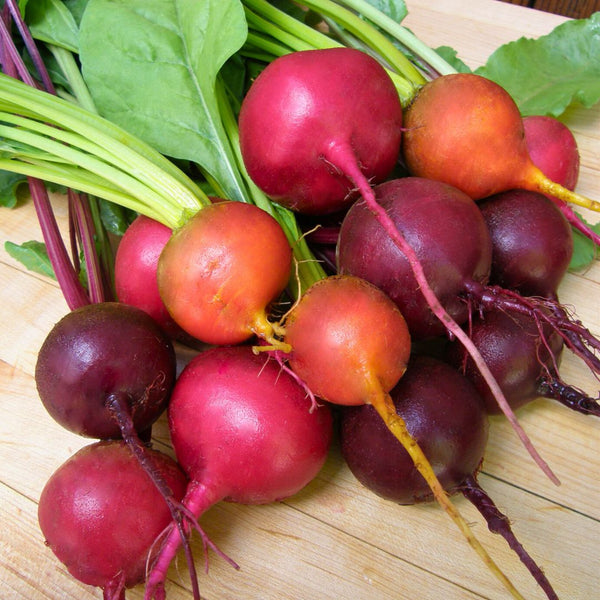 Beets - Renee's Garden