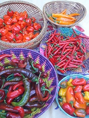 Various chile peppers in baskets