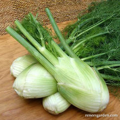 Fennel on table