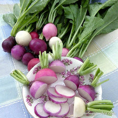 Radishes on table, some cut in pieces in a bowl