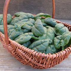 Spinach in basket