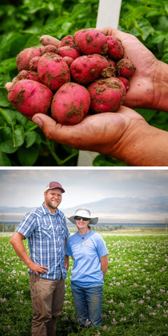 Holbrook Farms Potatoes