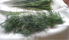 various herbs on a white napkin