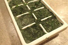 food processored herbs in ice cube tray