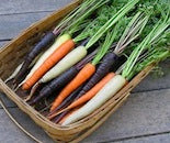 Colorful carrots in a basket