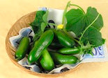Cucumbers for pickling in a bowl