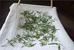 herbs spread out on a towel