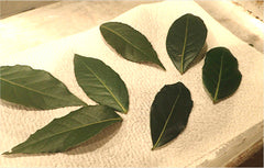 bay leaves spread out on a towel