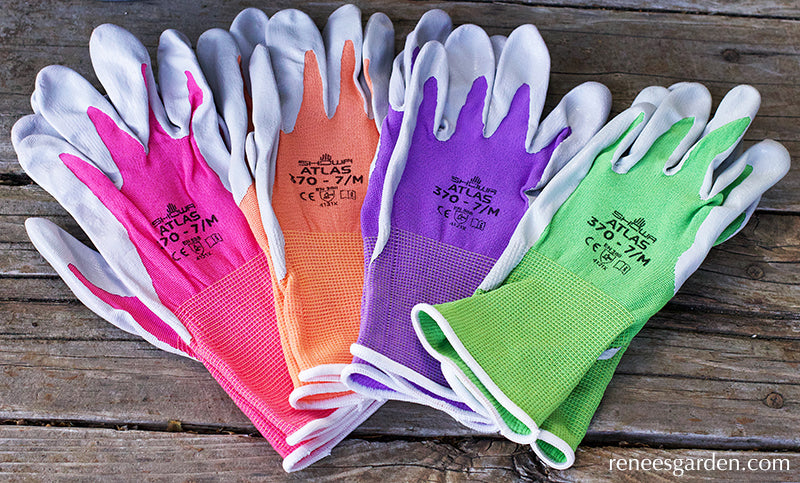 fan of different glove colors