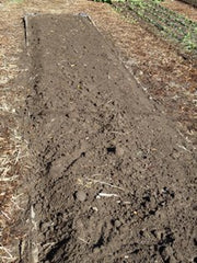 Soil that has clumps removed and raked smooth.