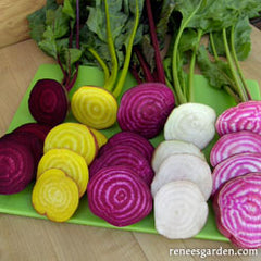 five colors of beets from mix, cut open on cutting board