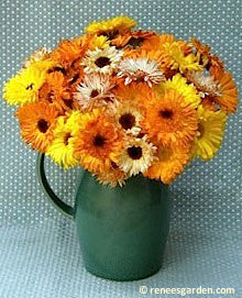Green vase filled with orange-yellow calendula flowers.