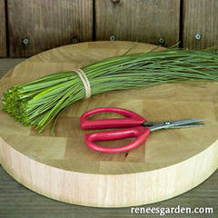 chives on cutting board with scissors up in the front